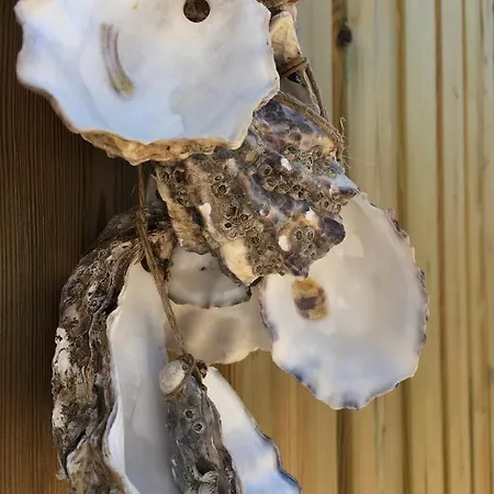 Hotel Les Bains - Et Restaurant 3*