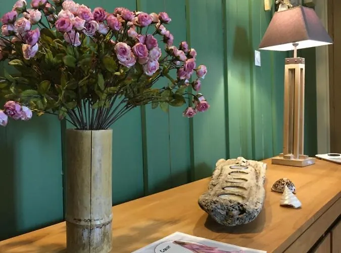 Hotel Les Bains - Et Restaurant