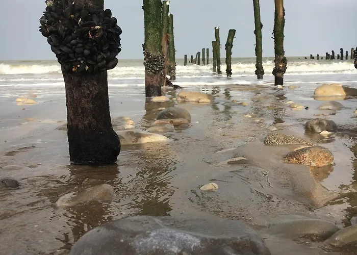 Hotel Les Bains - Et Restaurant 3*